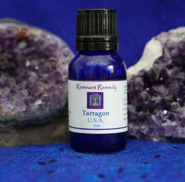 TARRAGON (Artemisia dracunculus) ~ USA