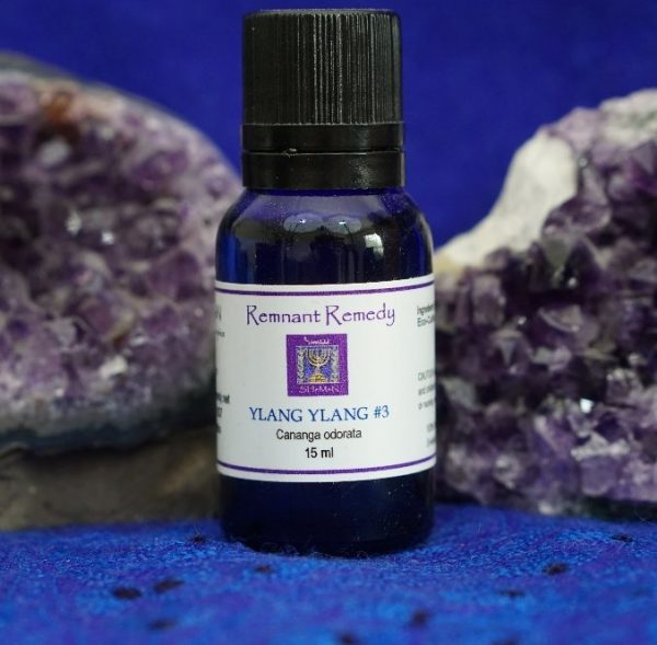 YLANG YLANG #3 (Cananga odorata)