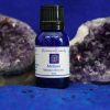 MELISSA ~ Lemon Balm (Melissa officinalis L.)