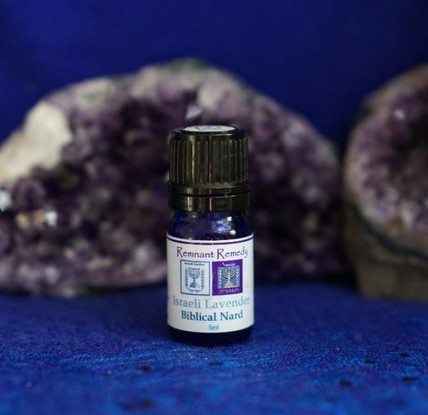 LAVENDER ISRAEL (Lavandula Angustifolia)