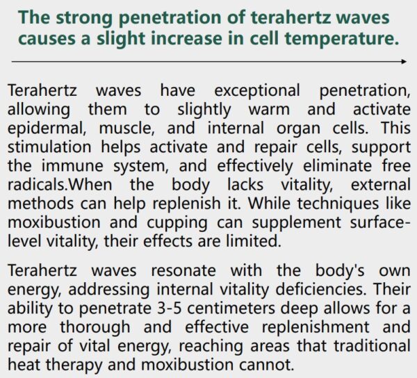 THz Cell Essentialz Blower Device - VITALITY WAND - Image 15