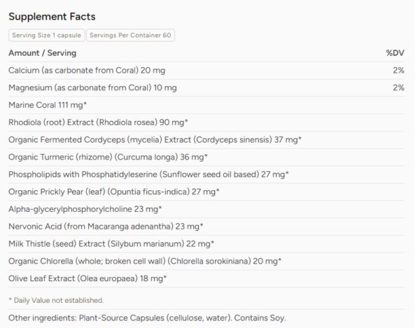 Brain Support - AzureWell - Image 2