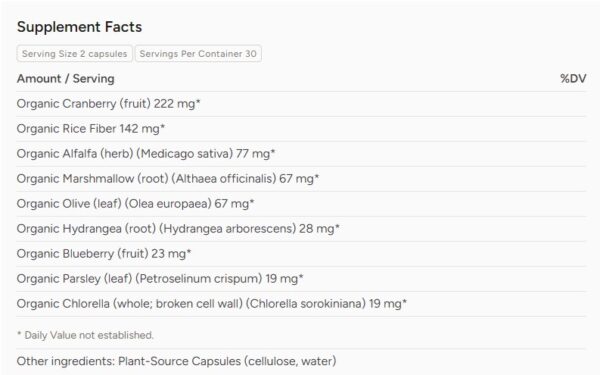 AzureWell Cranbetter Bladder Support - Image 2